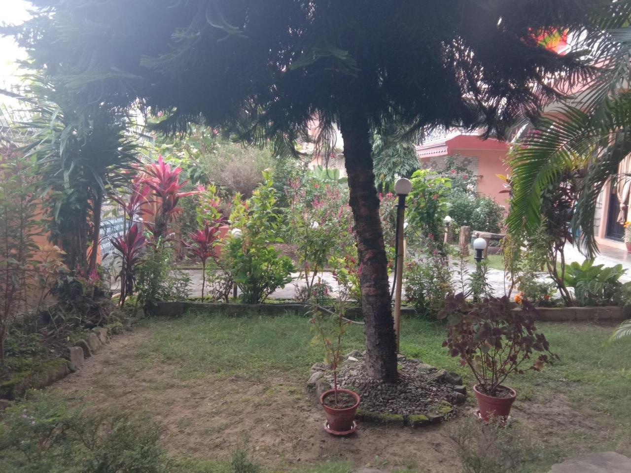 Hotel Kalpana G. House Pokhara Exterior foto